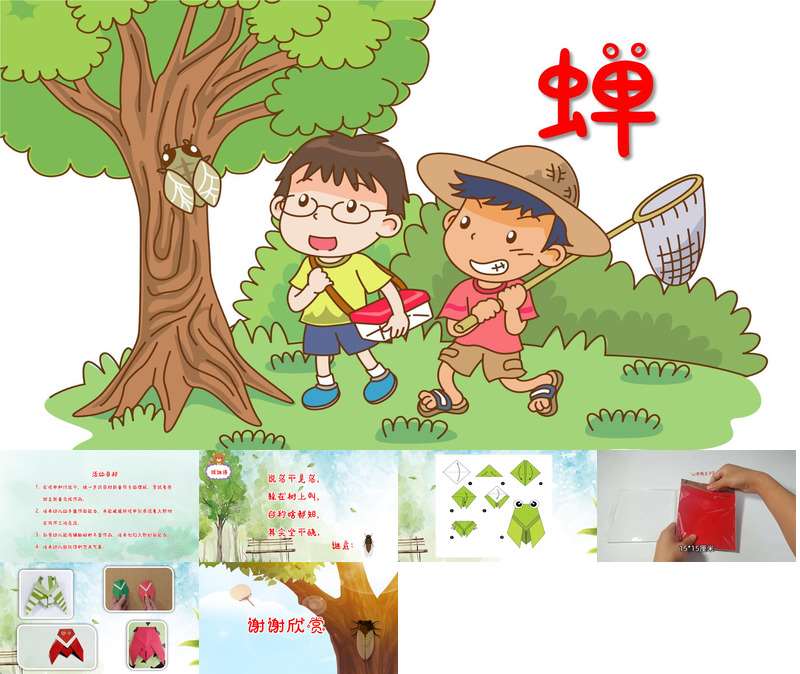 大班美术《蝉》PPT课件+教案