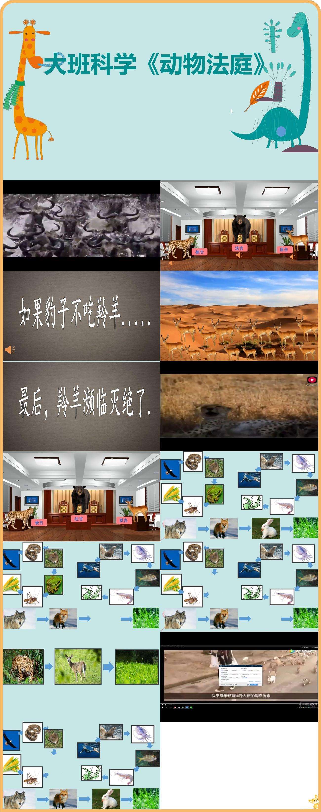 大班科学动物法庭课件.jpg