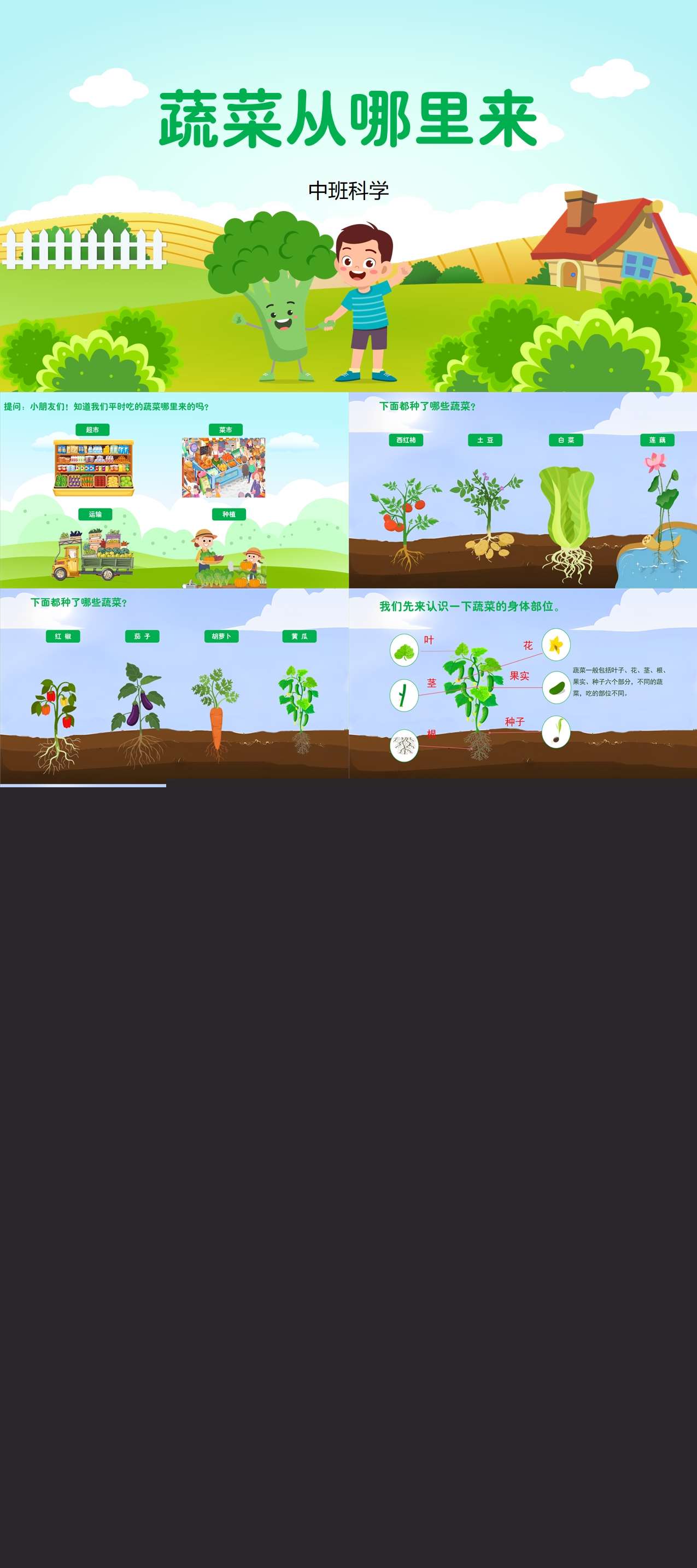 中班科学蔬菜从哪里来课件.jpg