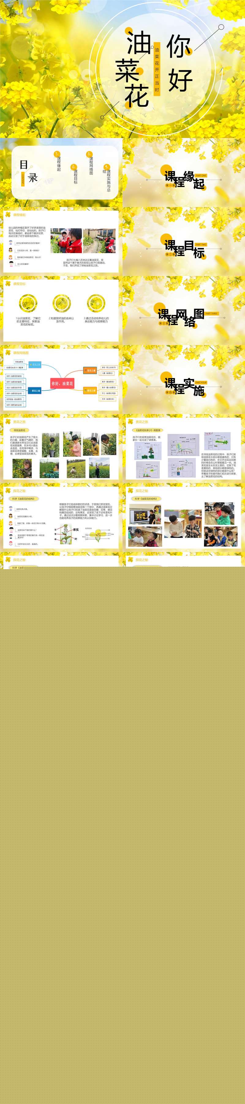 049中班班本课程你好，油菜花28页.jpg