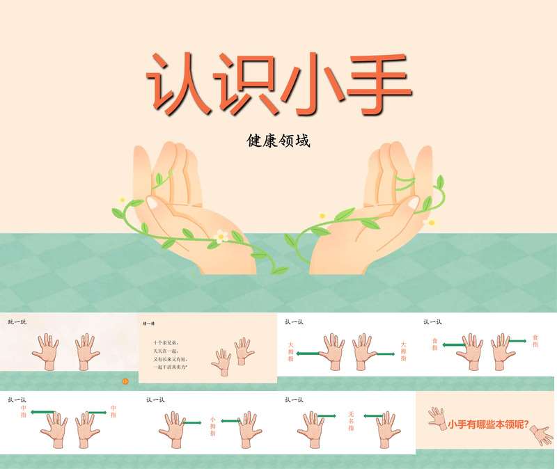 健康领域《认识小手》PPT课件+教案