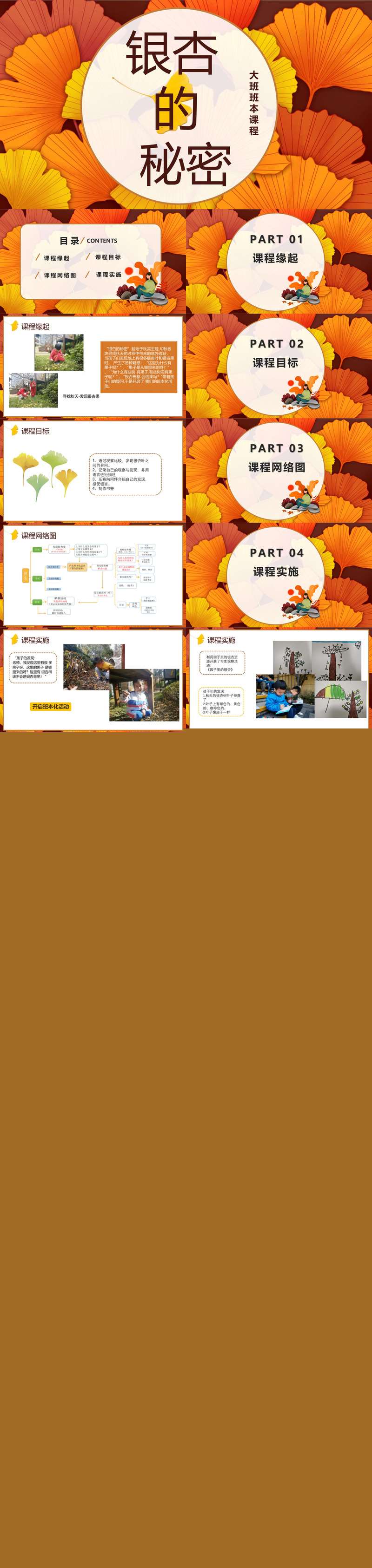 096大班班本课程银杏的秘密26页.jpg