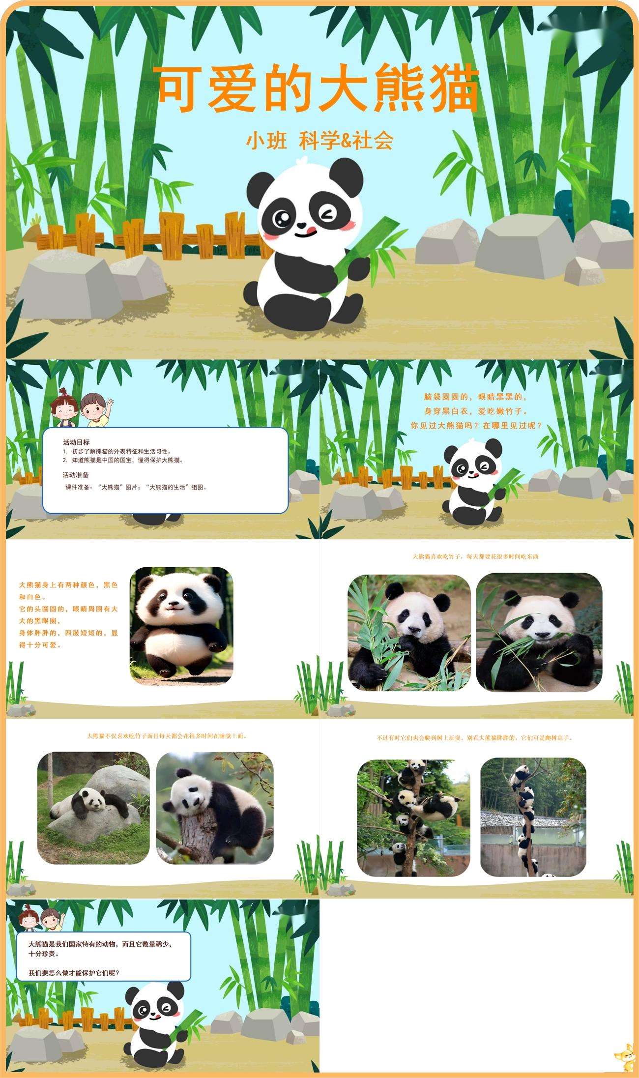 可爱的大熊猫_科学社会_小班_课件.jpg