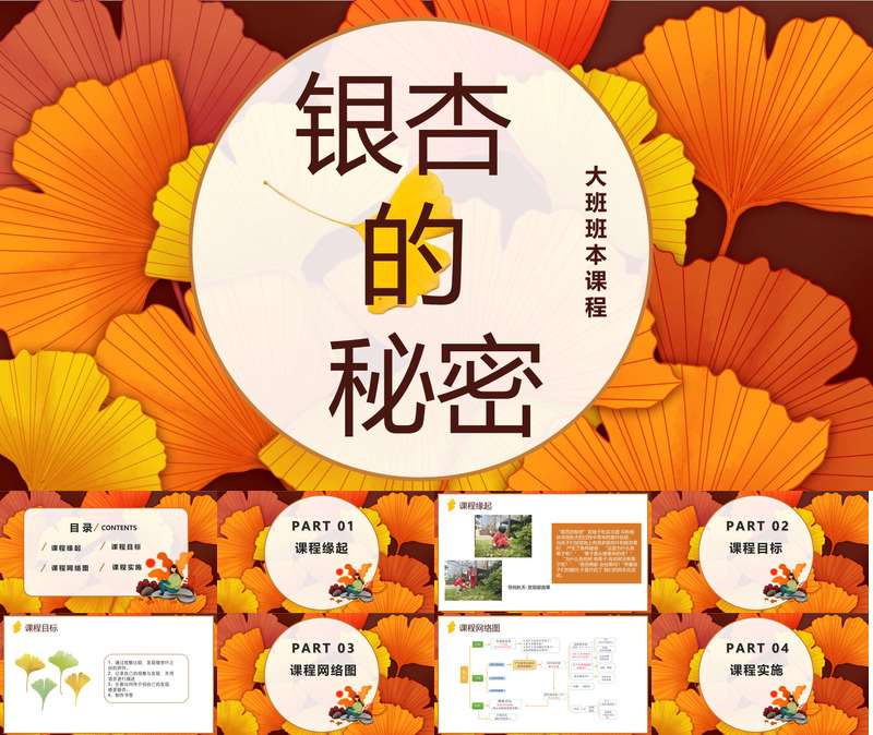 大班班本课程《银杏的秘密》26页