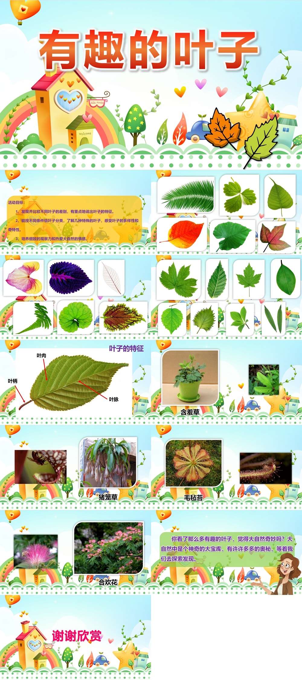 有趣的叶子PPT课件.jpg