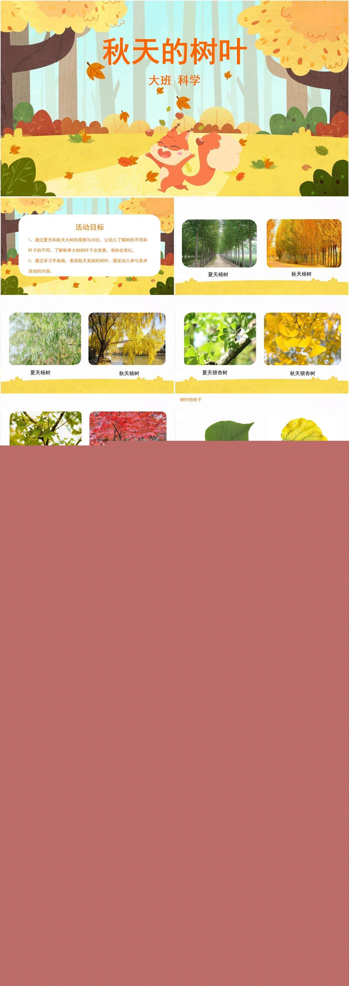 大班科学秋天的树叶ppt.jpg