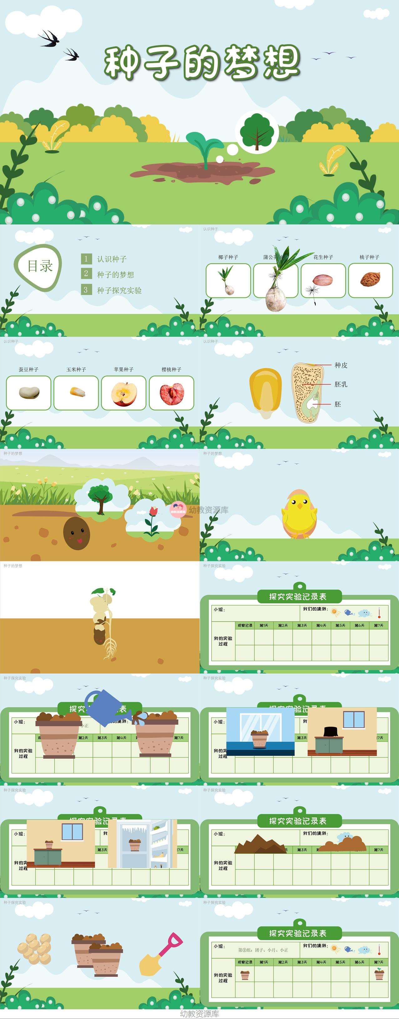 种子的梦想课件.jpg