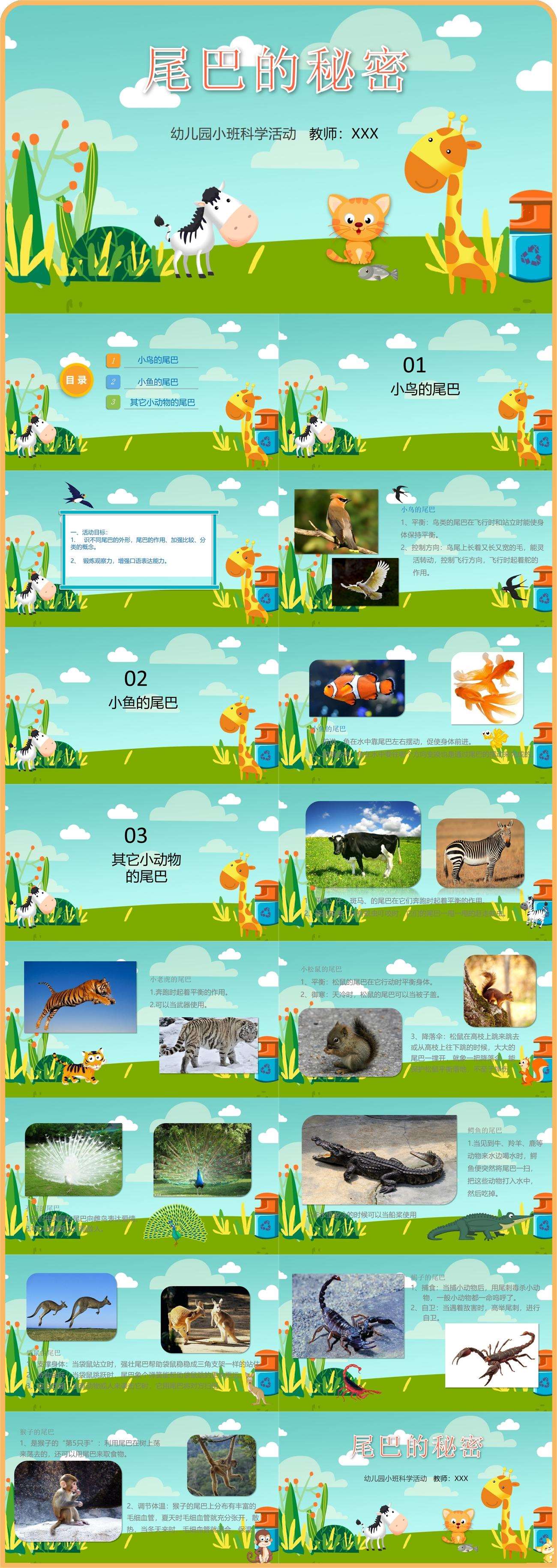 幼儿园小班科学尾巴的秘密.jpg