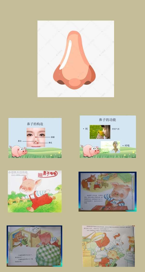 小班健康小鼻子真灵课件.jpg