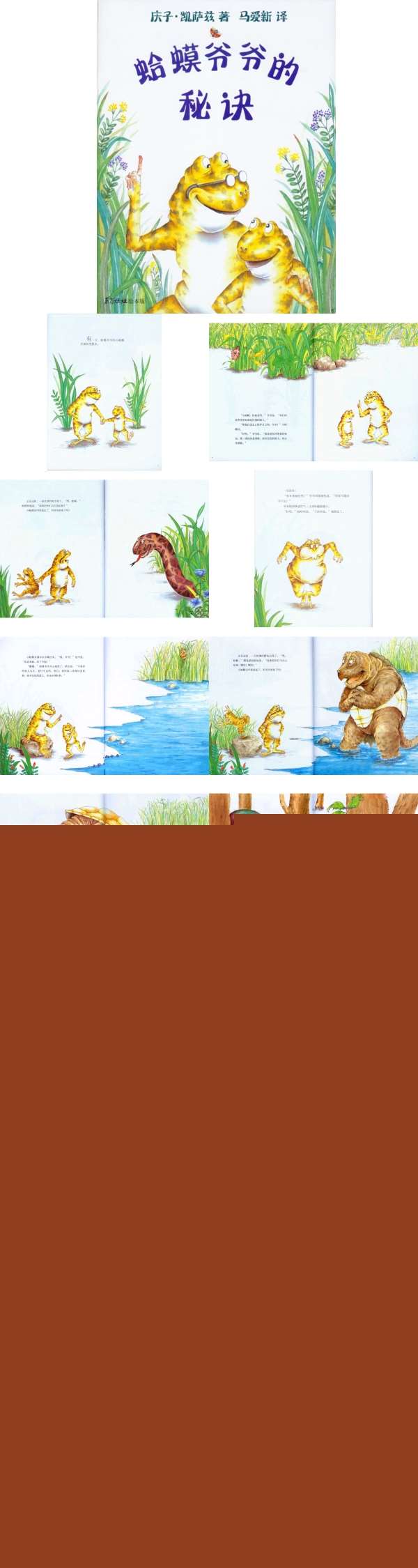 大班绘本蛤蟆爷爷的秘诀微课件.jpg