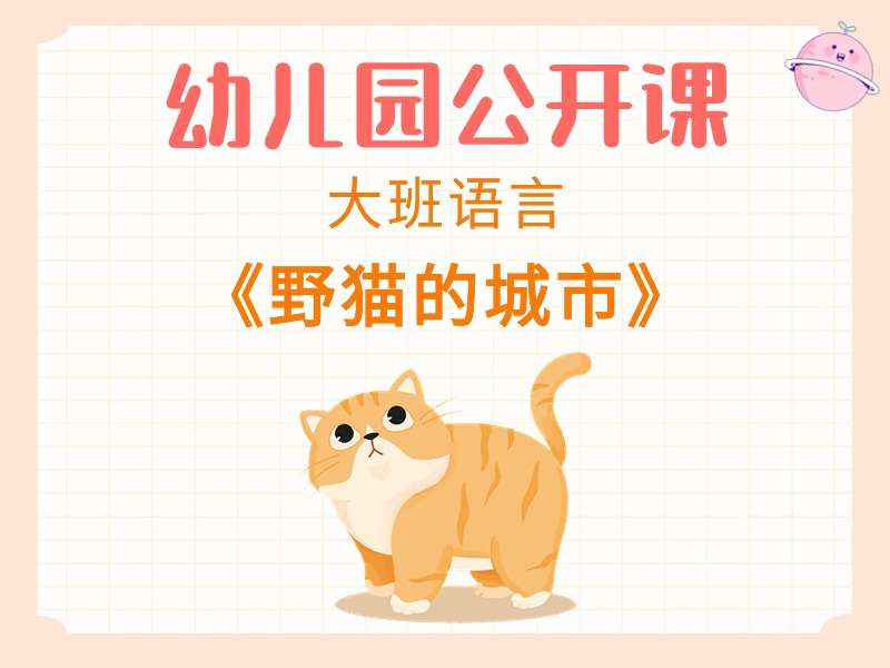 大班语言公开课《野猫的城市》课堂实录+教案+PPT课件+反思