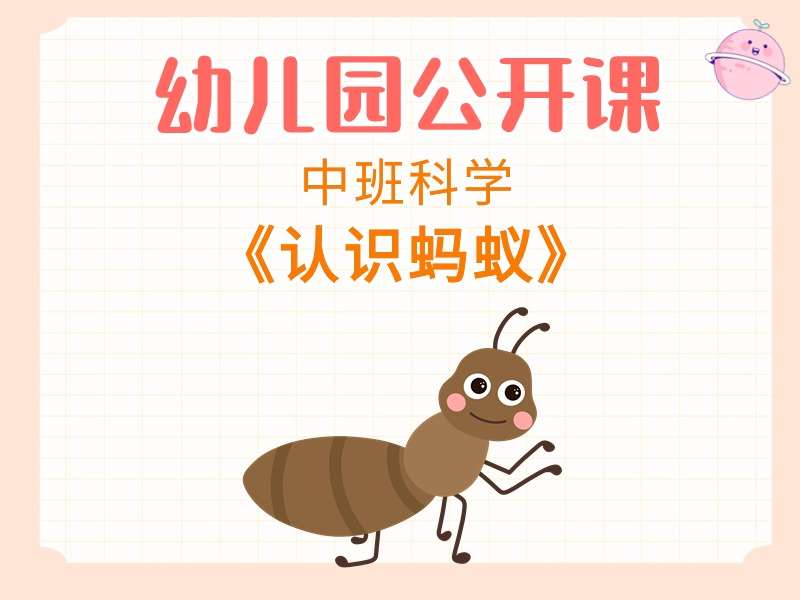 中班综合公开课《认识蚂蚁》课堂实录+教案+PPT课件