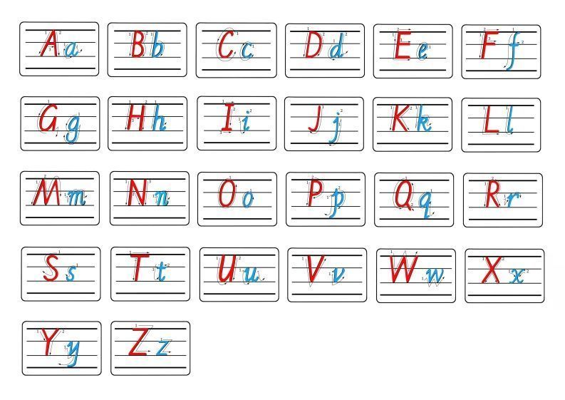 【控笔】字母描红+笔顺彩色款