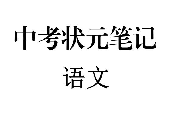 最新整理版-中考语文状元笔记（198页）高清扫描无水印