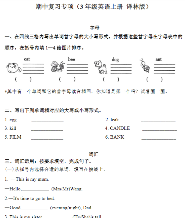 期中复习专项（3年级英语上册 译林版）