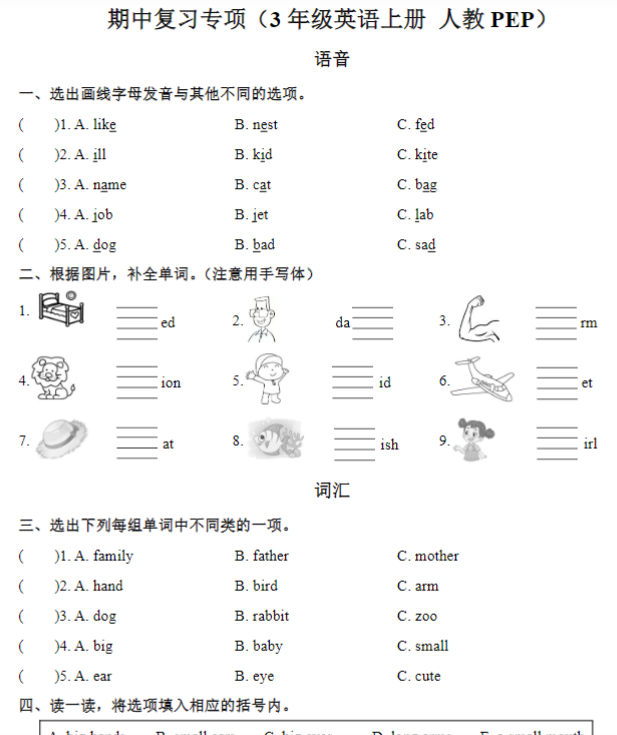 期中复习专项（3年级英语上册 人教版）
