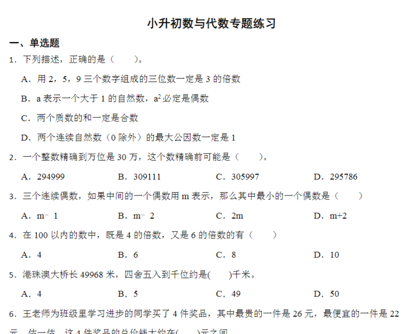6页小升初数与代数专题练习（专项练习）人教版六年级下册数学