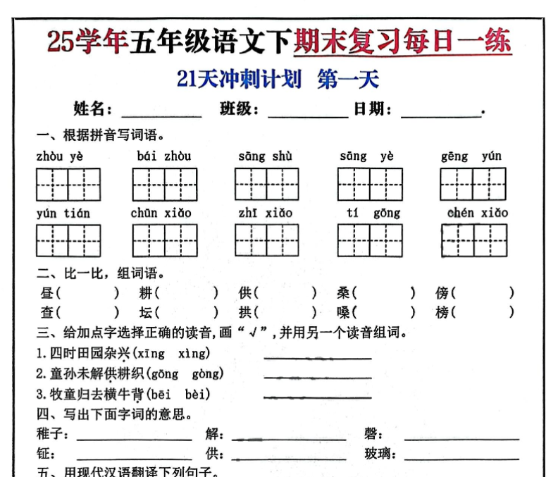 21页！2025春五下语文期末21天冲刺计划