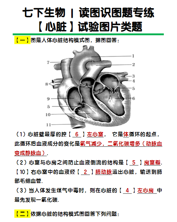 七下生物读图识图题专练【心脏】试验图片类题练习