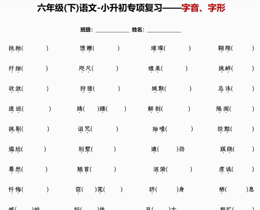 6页【小升初专项复习】—字音、字形