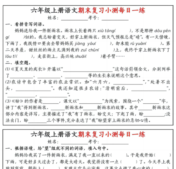 六年级上册语文期末复习小测每日一练