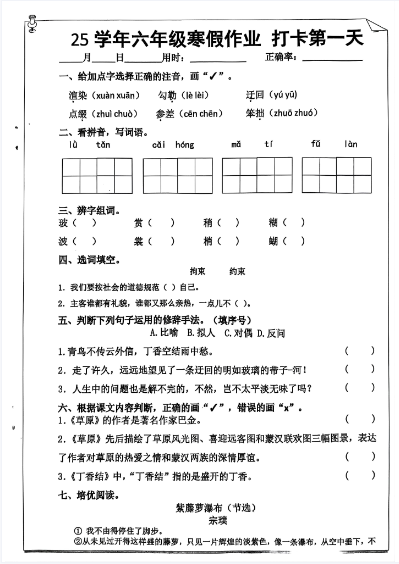 2025最新6年级语文寒假作业