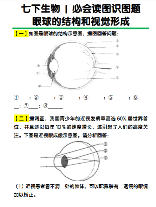 七下生物必会读图识图题：眼球的结构和视觉形成练习题