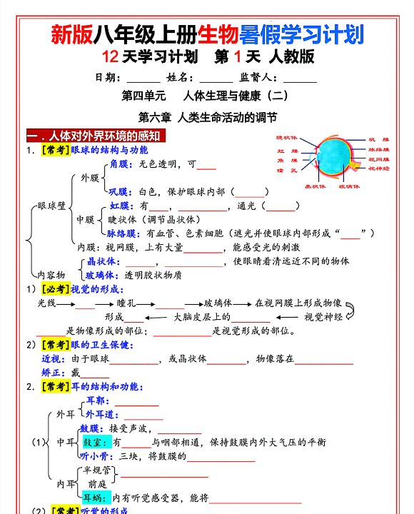 新版八年级上册生物（人教版）12天学习计划（空白版）