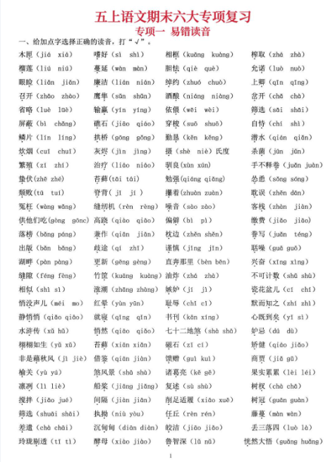 五年级上册语文期末六大专项复习