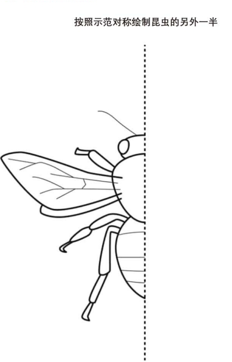 10页打包！按照示范在圆圈内填上颜色 ，电子版PDF打印【超高质量】