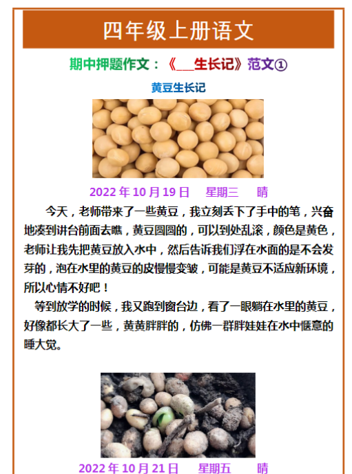 四年级上册语文期中押题作文：《___生长记》范文