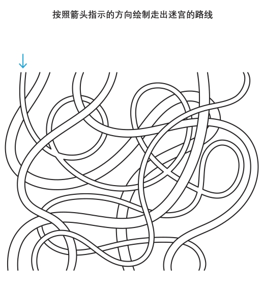 10页打包！按照箭头指示的方向绘制走出迷宫的路线2，立体迷宫 亲子游戏，电子版PDF可打印【超高质量】