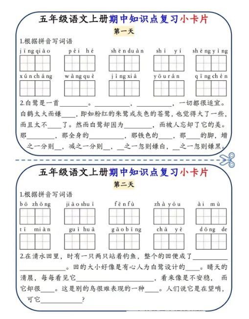 《2025春新课改期中知识点复习小卡片》（5上）