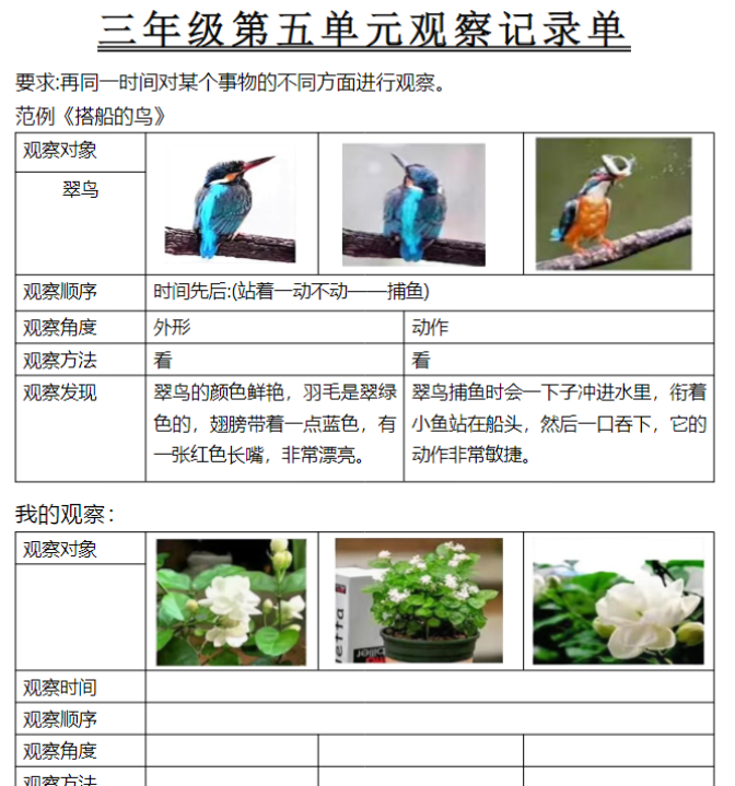 三年级第五单元观察记录单