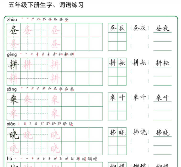30页五年级下册生字+词语练字（秋版）