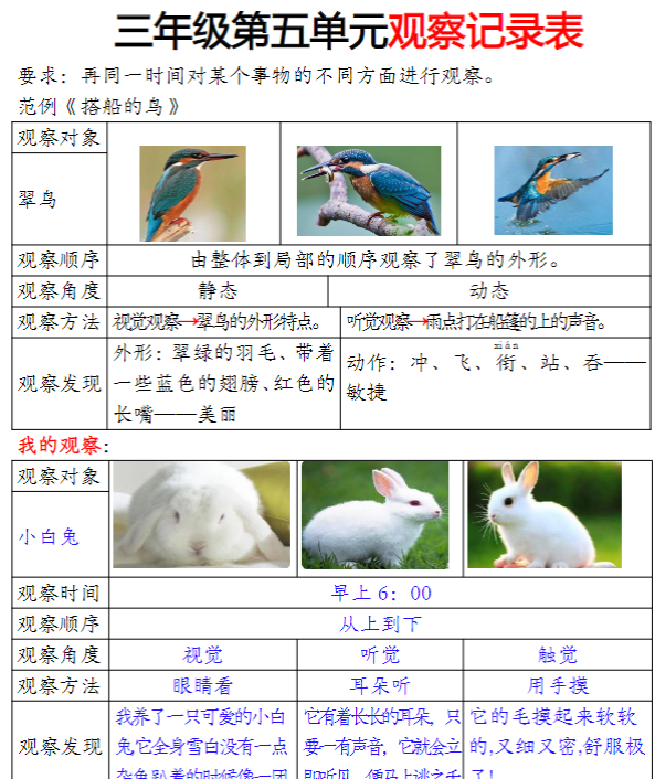 三年级观察记录单答案