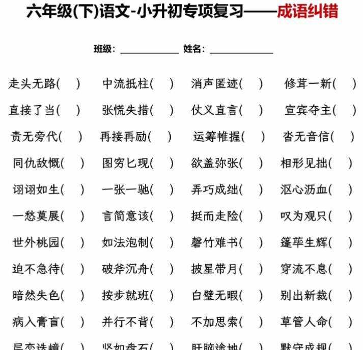 6页【小升初专项复习】—成语纠错