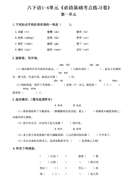 《2025春新课改六年级语文下册必清基础考点练习卷》