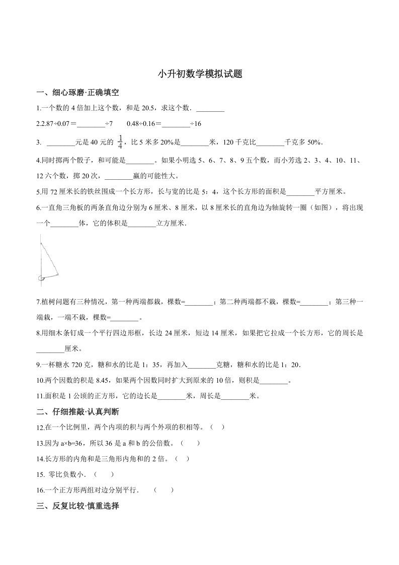 六年级数学下册小升初模拟试题（19）苏教版（含解析）