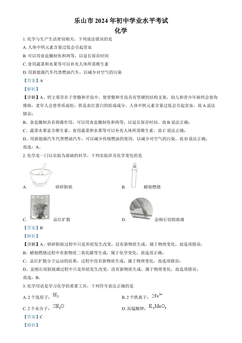2024年四川省乐山市中考化学真题（含答案）
