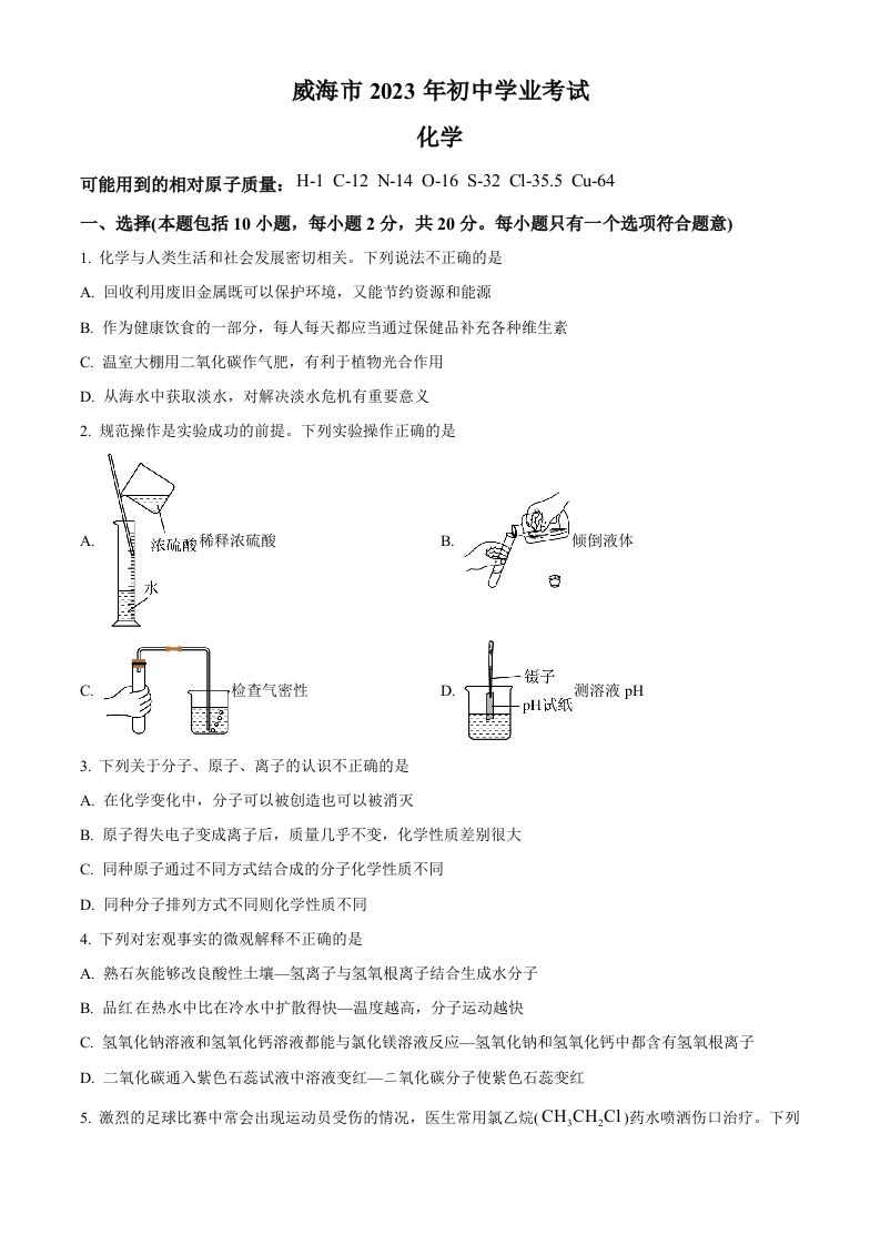 2023年山东省威海市中考化学真题（空白卷）