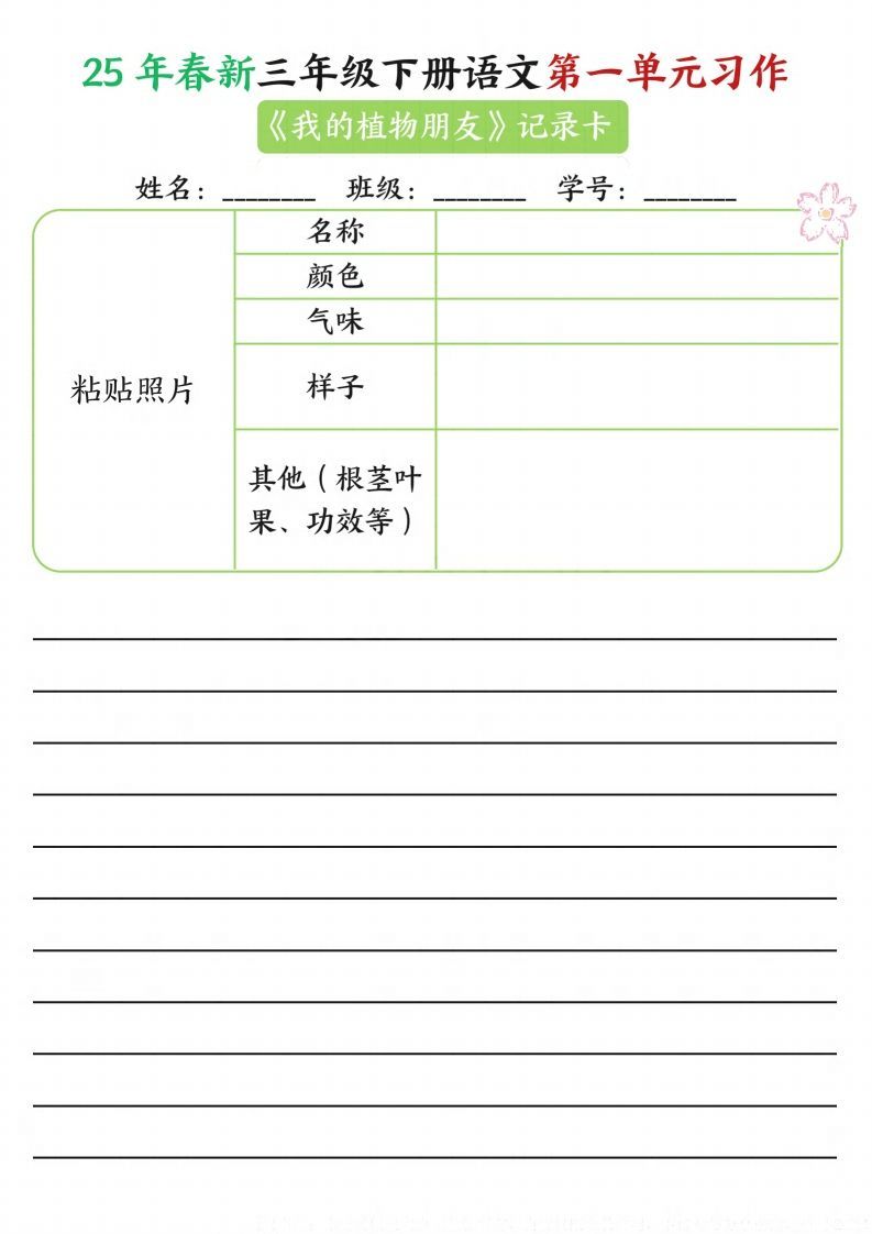 【习作】25年春新三下语文第一单元习作（观察单）16页