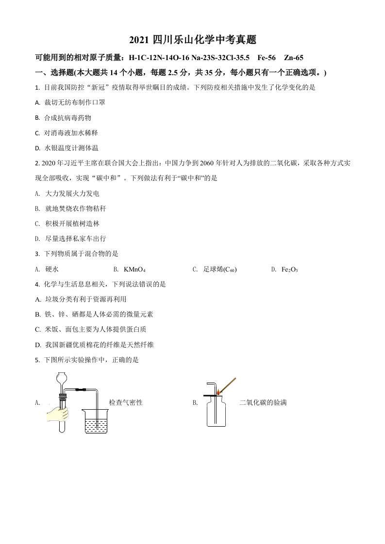 四川省乐山市2021年中考化学试题（空白卷）