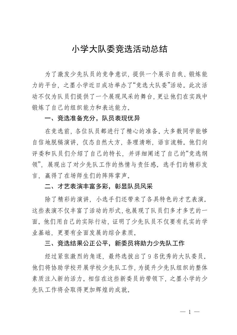 大队委竞选总结