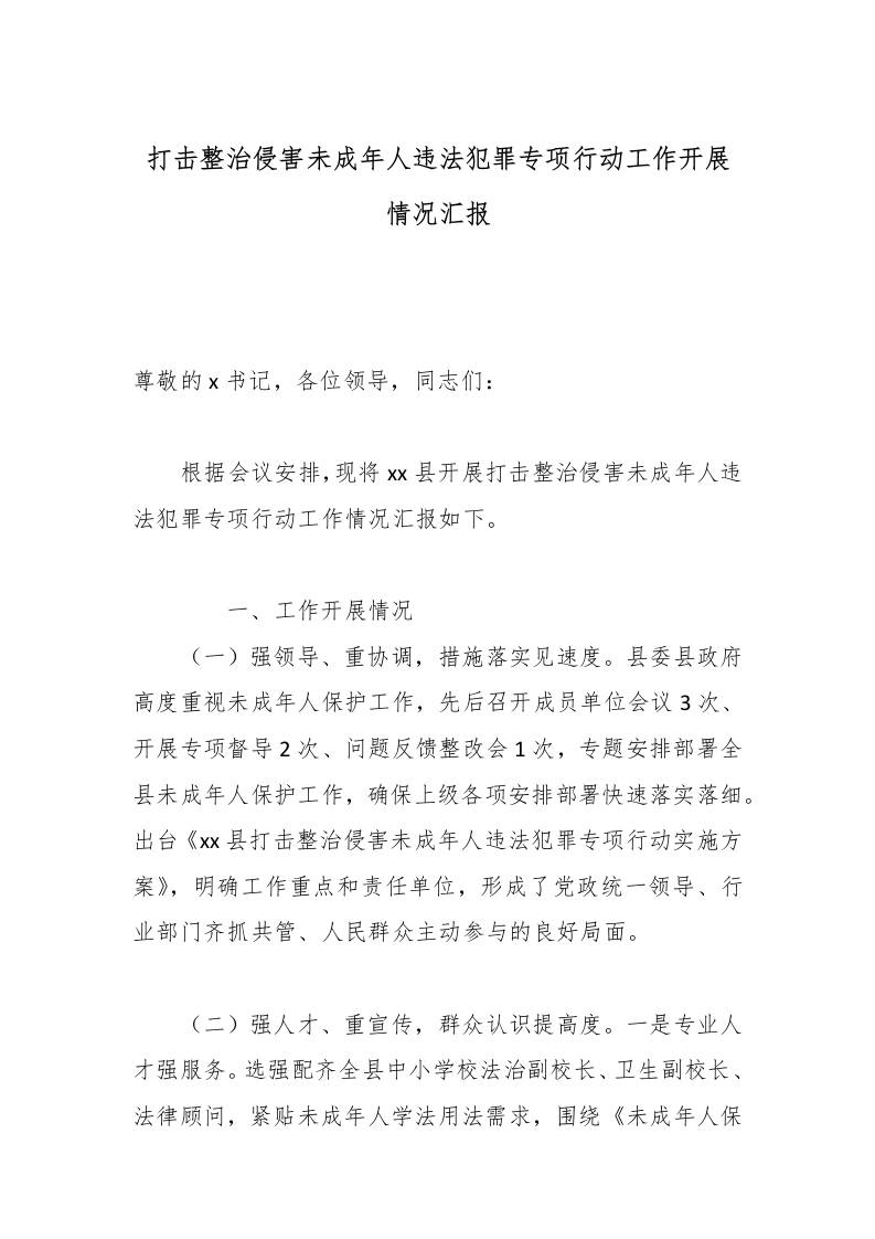 打击整治侵害未成年人违法犯罪专项行动工作开展情况汇报